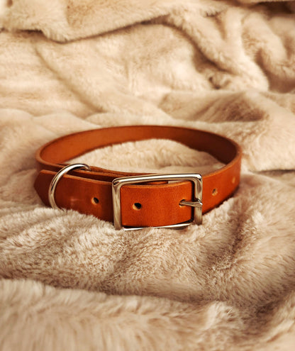 Leather Dog Collar