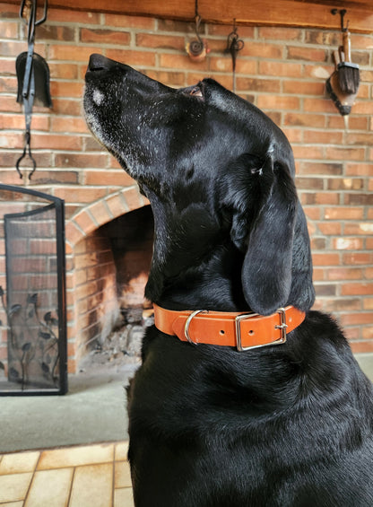 Leather Dog Collar